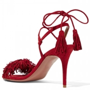 Women's Fashion Open Toe Ankle Lace up High Heels Sandals with Tassel