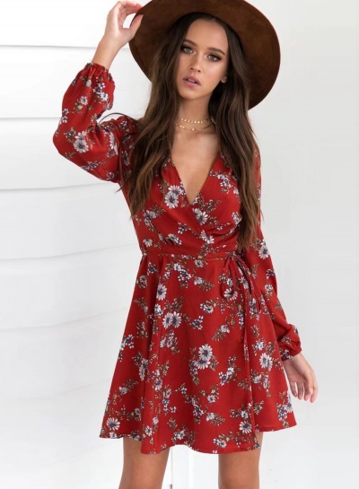 Women's V Neck Print Long Sleeve A-line Dress