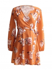 Women's V Neck Print Long Sleeve A-line Dress