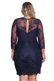 Blue Plus Size Floral Lace Embroidered Dress