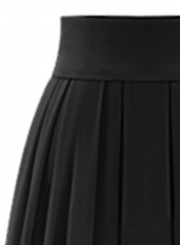High Waist Maxi Chiffon Pleated Skirt