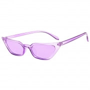 Fashion Transparent Small Frame Cat Eye Outdoor Sunglasses