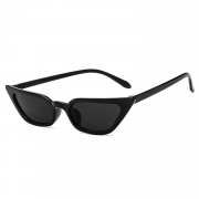 Fashion Transparent Small Frame Cat Eye Outdoor Sunglasses