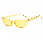 Fashion Transparent Small Frame Cat Eye Outdoor Sunglasses