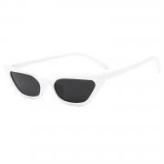 Fashion Transparent Small Frame Cat Eye Outdoor Sunglasses