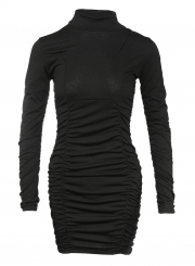 Black Casual High Neck Long Sleeve Solid Color Bodycon Dress